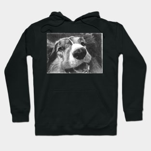 BRODY Hoodie